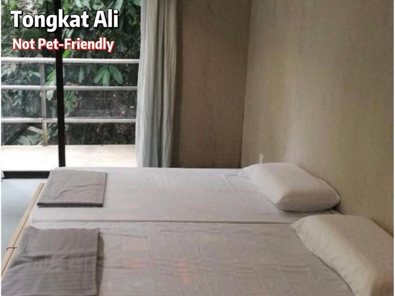 Gibbon Retreat Bentong Hotell Eksteriør bilde
