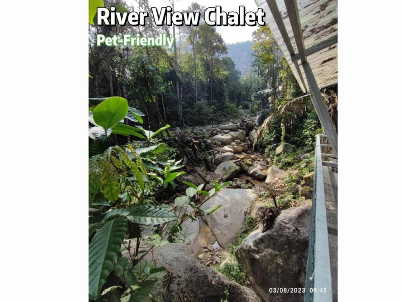 Gibbon Retreat Bentong Hotell Eksteriør bilde