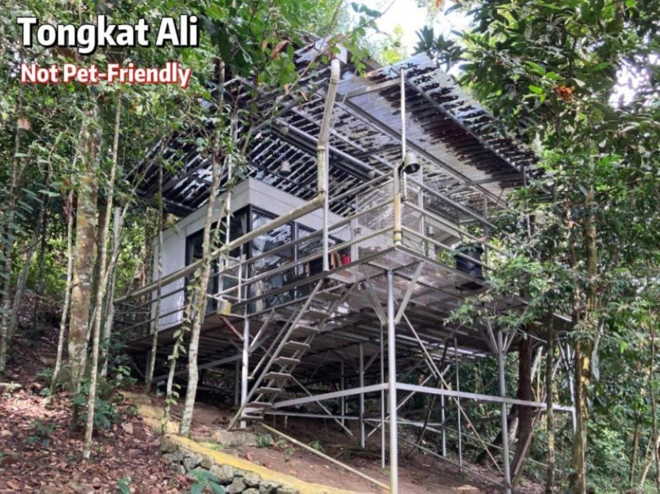 Gibbon Retreat Bentong Hotell Eksteriør bilde