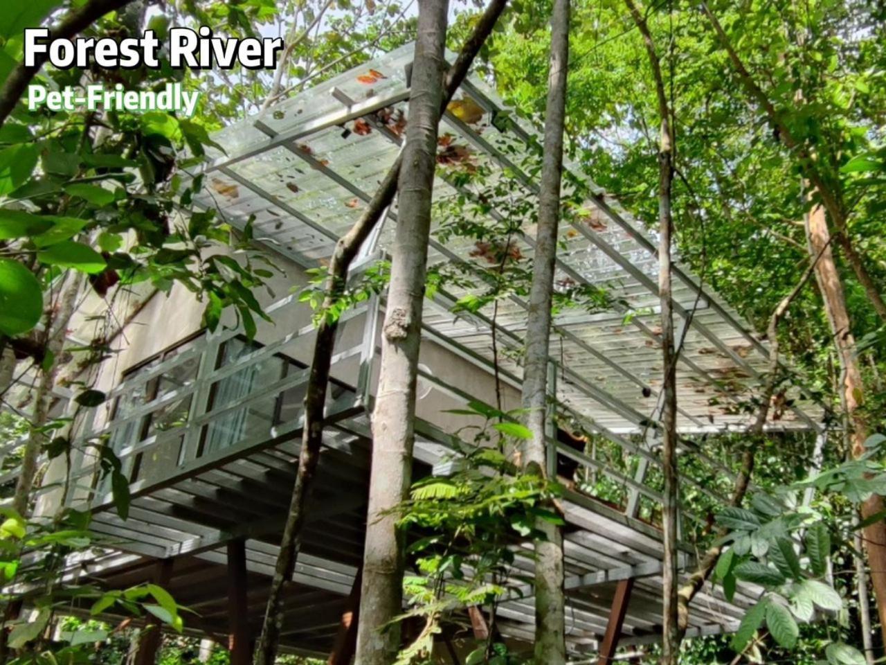 Gibbon Retreat Bentong Hotell Eksteriør bilde
